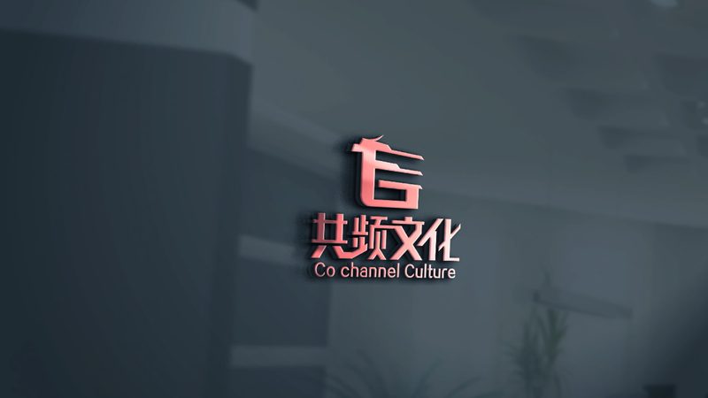 企业宣传片厂家直销，揭秘一手货源优势