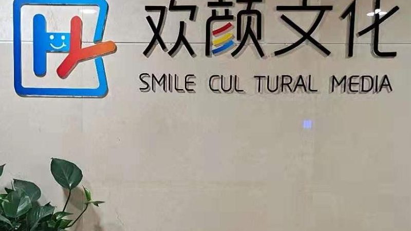 品牌策划案例精选：揭秘成功背后的策略与执行